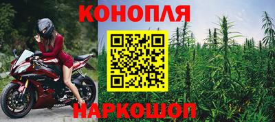 гашик Кулебаки