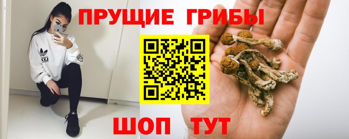 Жуковский  Галлюциногенные грибы мухоморы  Вход с VPN  Галлюциногенные грибы Cubensis 